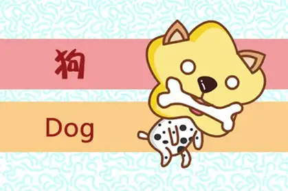 美猴王大闹天宫指代表是什么生肖，核心词义拆解