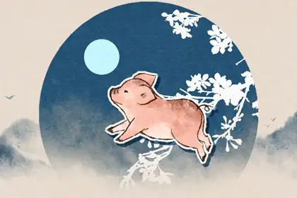 美好良辰客归来，春风一度过天涯，五走九后归一出，六六大顺三八来指代表是什么生肖、精选已答释义作答